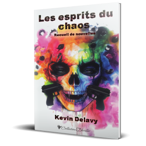 chaos_brochee_3d