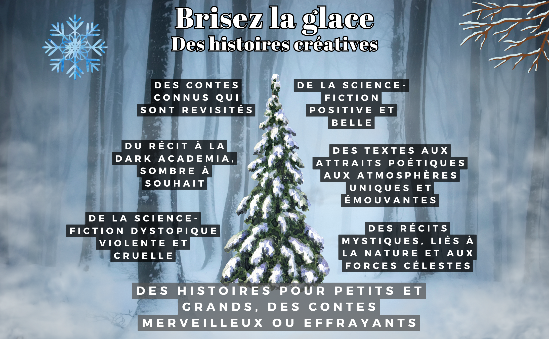 brisez la glace amazon 1