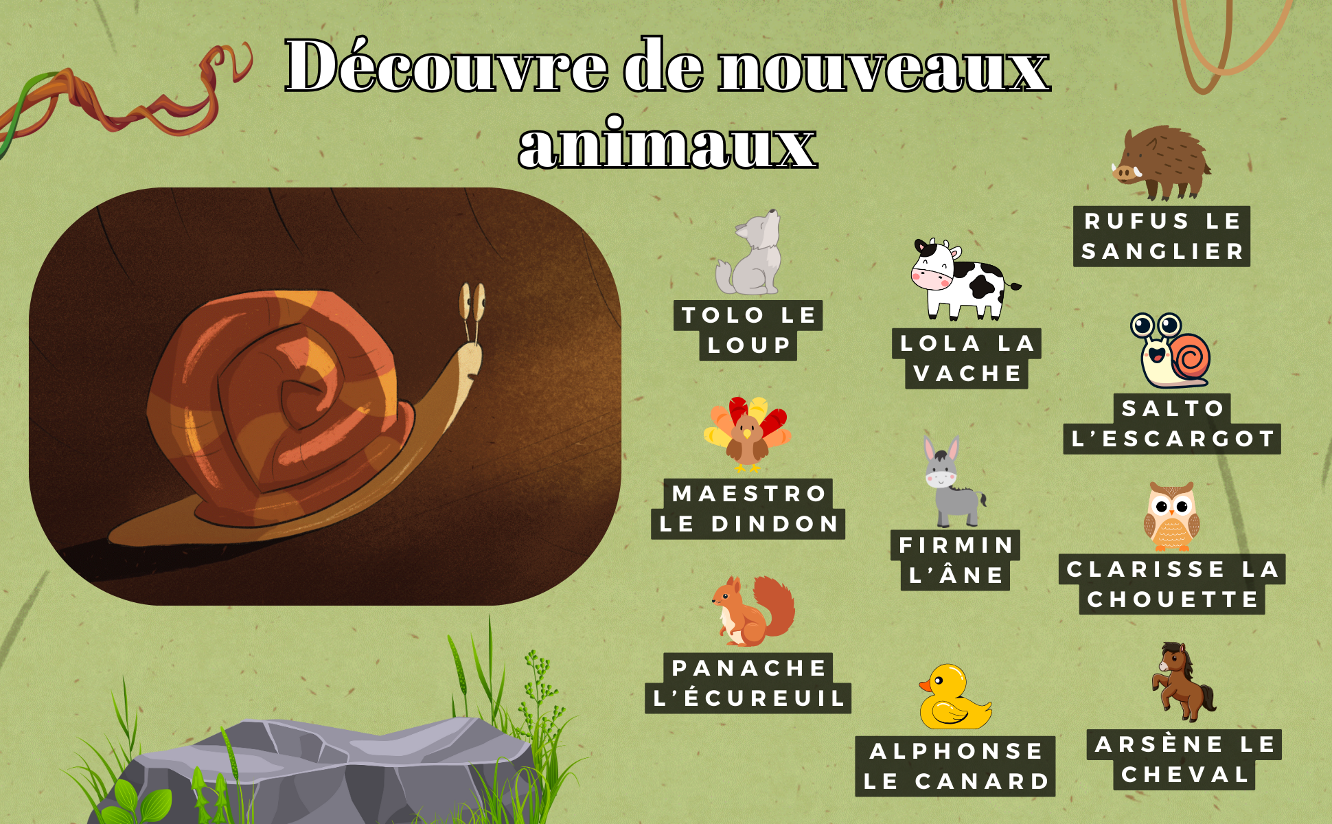 Le cross de Salto l'escargot amazon 2