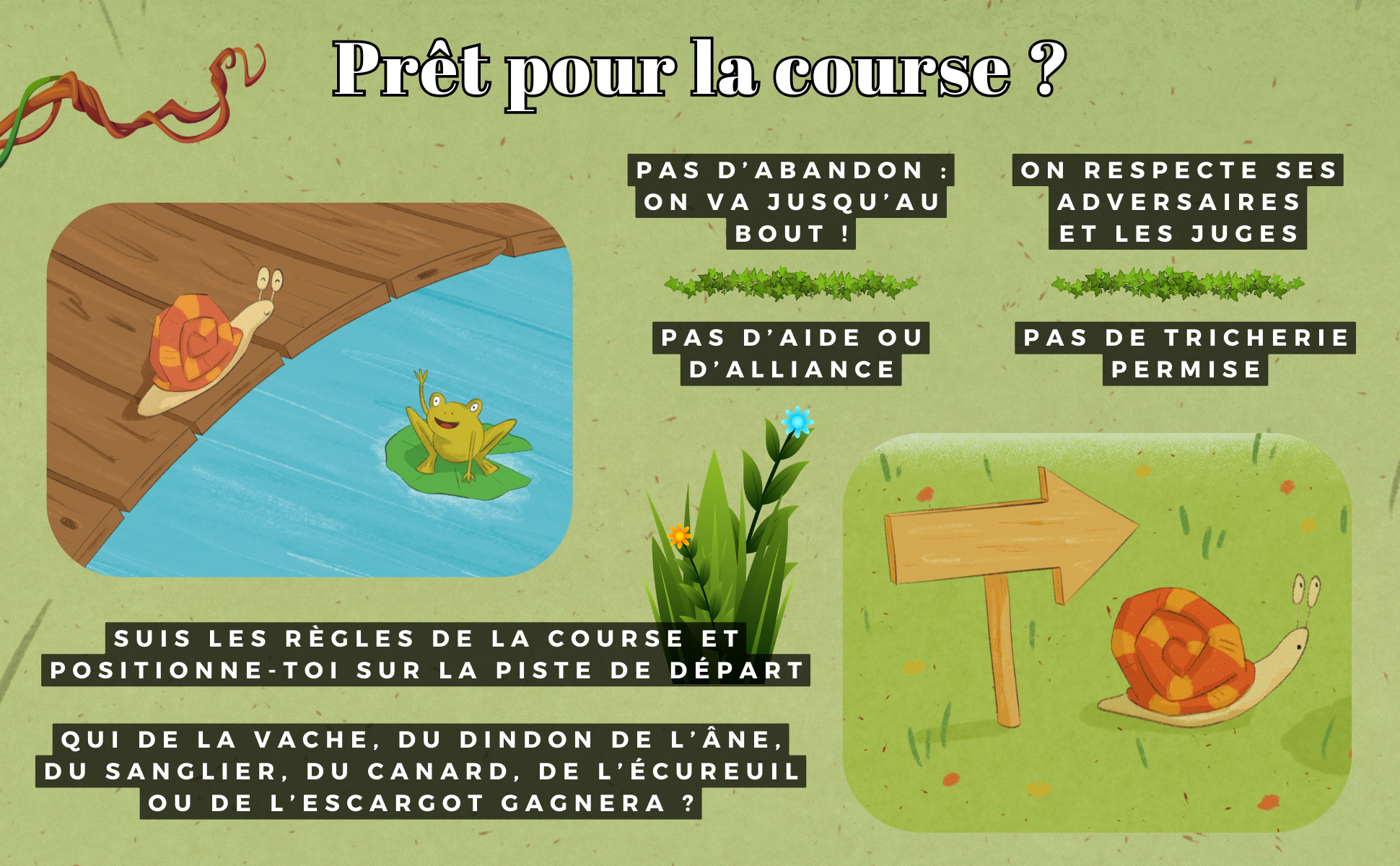 Le cross de Salto l'escargot amazon 3